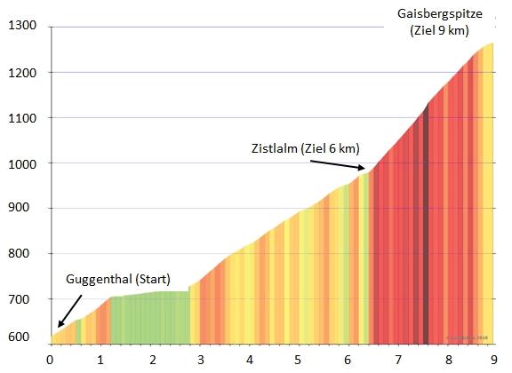 Inlineskater) und dem absoluten Härtetest über die letzten 2,5 km ( Die Wand ) bis zur Gaisbergspitze