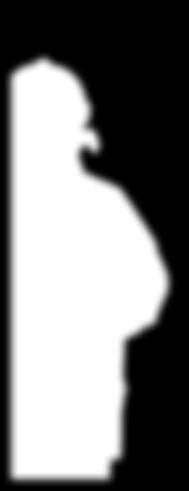 1716 EINSATZBLUSE 20,- WEitErE details: eine offene Funkgerätetasche links mit Mikrohalterung eine Brusttasche Ärmelweitenverstellung rechts mit Karabiner und 20 mm für Ärmelbündel mit Daumenloch