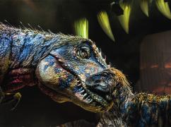 Dino-Show: Tickets gewinnen! Vor vielen Millionen Jahren lebten Dinosauerier auf der Erde.