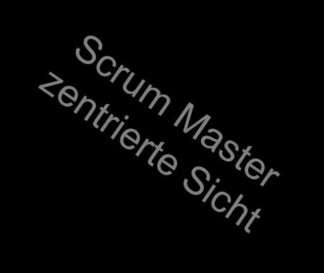 Product Owner Scrum Master Manager