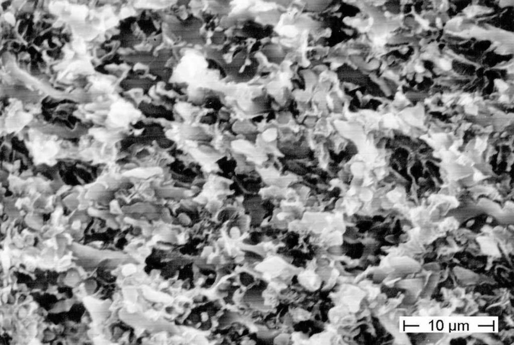 Si-Kristalle rundlich in der Größe von etwa 2 µm, Matrix dunkel Untersuchungen mit energiedispersiver Röntgenanalyse