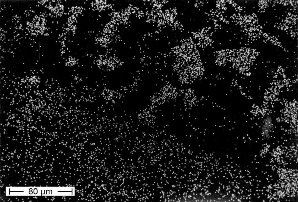 Die Verteilung des Siliziums ist in Bild 6 zu sehen. Die Primärkristalle des Grundgefüges heben sich gut ab. Im Umschmelzbereich lassen sich die einzelnen Teilchen nicht mehr auflösen.