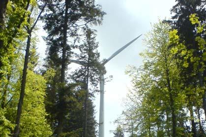 Abstand zum Wald Gemeinde Saerbeck NRW-Klimakommune der Zukunft Zahlreihe