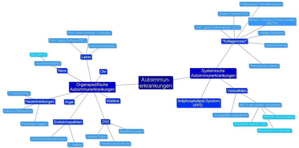 Spektrum der Autoimmunerkrankungen: > 80 Antinukleäre Antikörper (ANA)