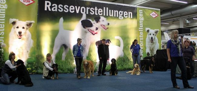 Bei allen Rassepräsentationen wurden immer Hunde aus beiden Vereinen dem