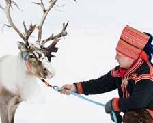 sein. Der Sami-Guide wird auch ein Joik (traditionelles samisches Lied) für die Gäste aufführen. Wenn Sie Glück haben und der Himmel klar ist, können Sie auch die ersten Nordlichter sehen.