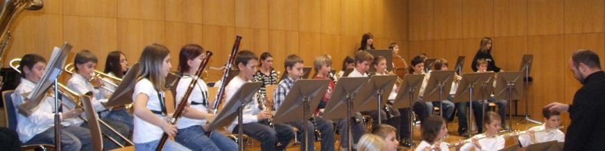 Unterrichtsangebote (5) Musik in Schulen Wesentliches Ziel ist es, Freude am gemeinsamen Musizieren zu wecken!