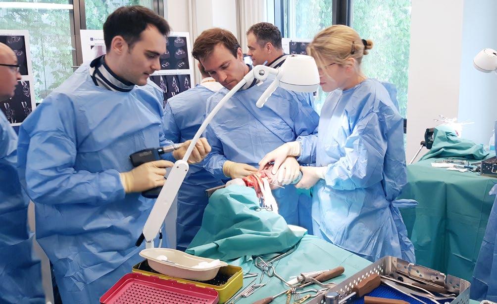 Die Akademie für Orthopädie und Unfallchirurgie ist das jüngste Symbol für das Zusammenwachsen der Fächer Orthopädie und Unfallchirurgie.