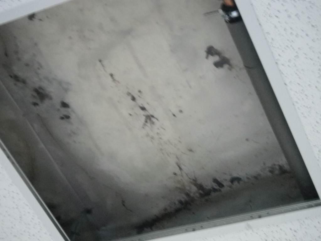 Abbildung 20: Verfärbungen und Ablagerungen oberhalb der Dampfbremse im Deckenhohlraum im