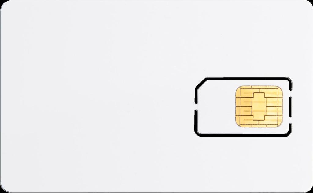 Verwendung einer Smartcard Sie können die GeNUCard zusammen mit einer Smartcard
