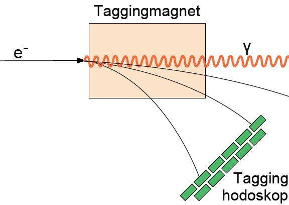 Kinematik Erzeugung der Resonanz Photoproduktion: γ + N p γ = E γ p N = 0 für Resonanz: E γ = M2 m2 N