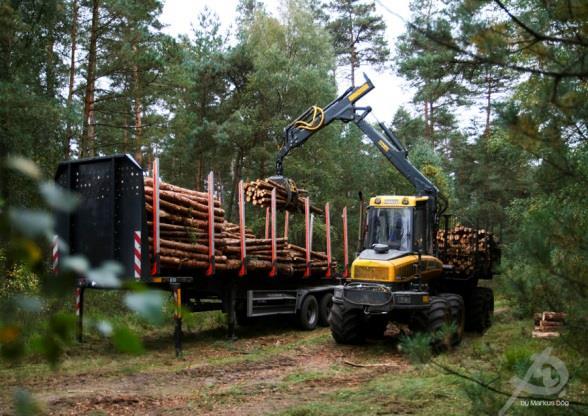 Holzmarktmodellierung zur