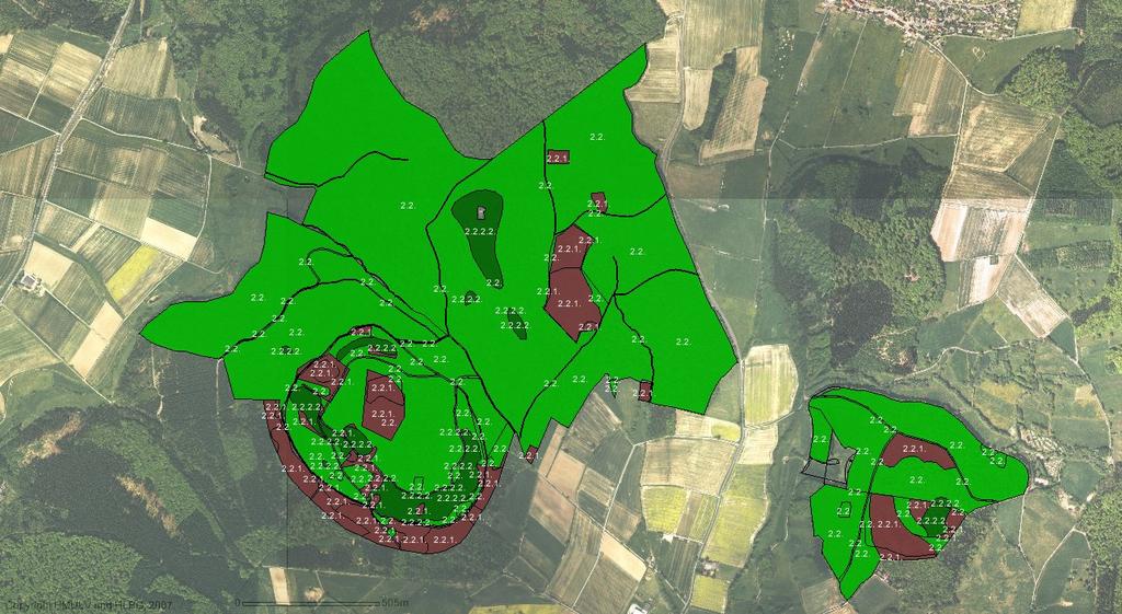 8.1.1 Maßnahmen Altenburg und Wald am Falkenstein Maßnahmenlegende: Naturnahe Waldnutzung Baumartenzusammensetzung/ Entwicklung zu standorttypischen