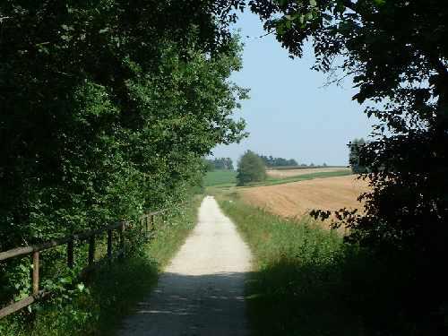 An heißen Sommertagen genießt man