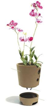 Der patentierte DENK Orchideentopf mit Tropenklima Mit unserem patentierten Orchideentopf können wir die natürlichen Lebensbedingungen der Orchidee simulieren und ihr eine optimale Wachstumsumgebung