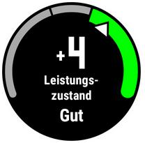 Leistungszustand 11 Gibt Auskunft über deine Leistungsfähigkeit Wert wird in den ersten 6 bis 20 Minuten des Lauftrainings ermittelt Je höher die Zahl, desto besser ist die zu erwartende Leistung