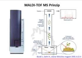Positive Aspekte durch MALDI-TOF Genaue, schnelle Identifizierung von vielen Mikroorganismen Staphylokokken auf Spezies-Ebene Schnellere Teilbefunde möglich Haemophilus influenzae Moraxella