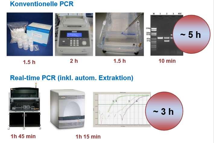 PCR`s 23