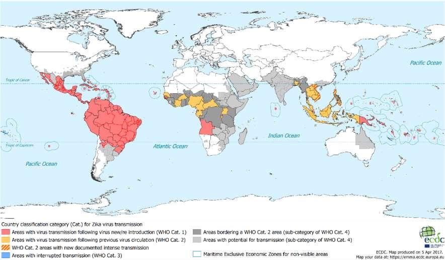 Distribution of areas by type of Zika virus