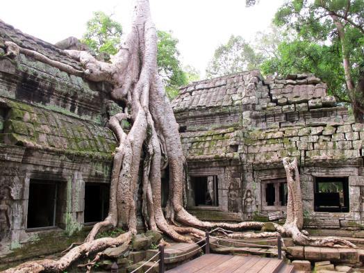 Höhepunkte sind der Bayon Tempel mit seinen Gesichtertürmen, die Terrasse der Elefanten und des Lepra-Königs, der Phimeneakas Tempel und die Stadttore.