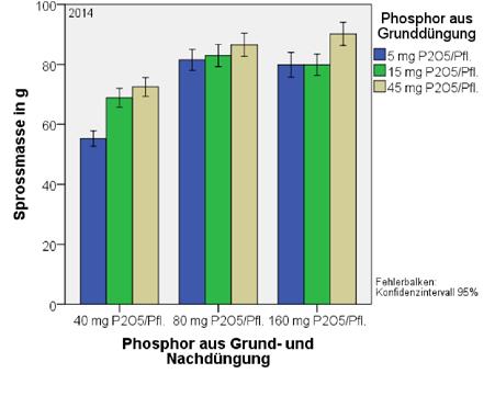 Abbildung 11: Auswirkungen von Varianten der P-Düngung auf die Sprossmasse bei Minicyclamen (LfULG Dresden-Pillnitz 2014 und 1015) Hinsichtlich der Anzahl über dem Laub sichtbarer Blüten und Knospen