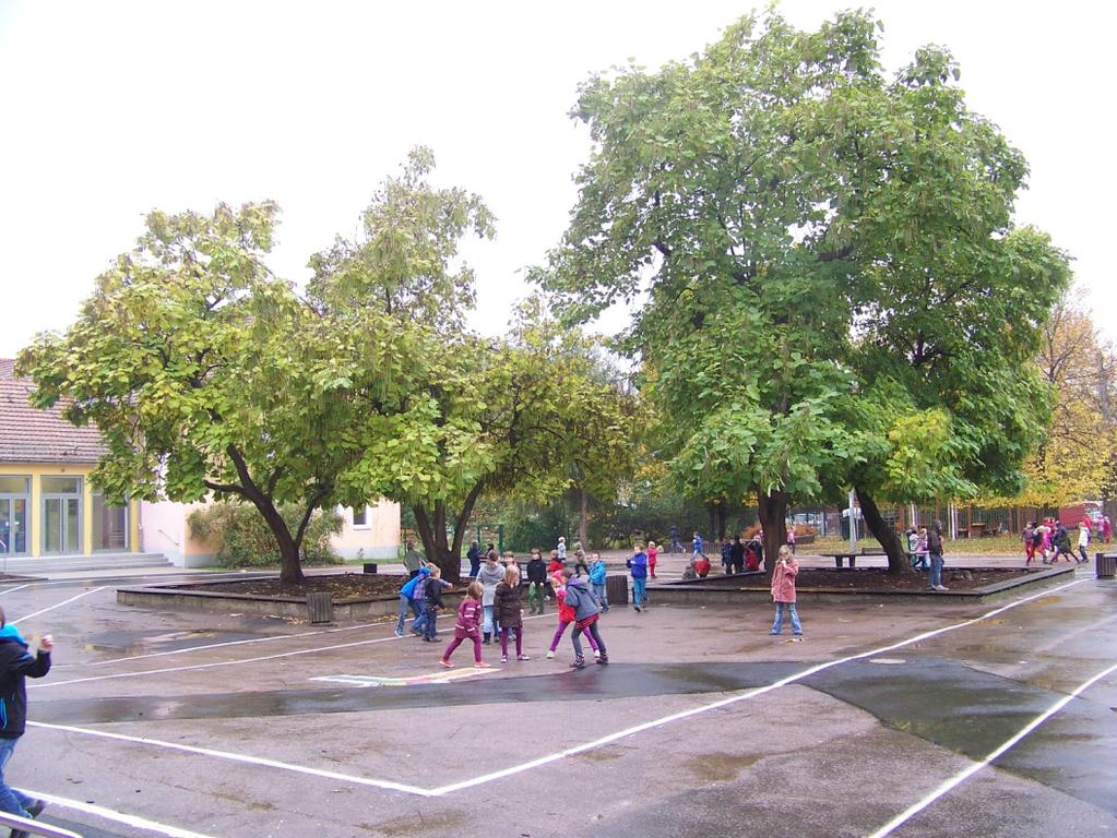 30. Grundschule Dresden Schulträger: Stadt Dresden Kreisfreie Stadt