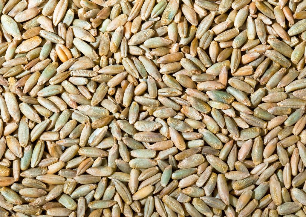 Unser Mehl Teil 2 der Serie Alle Kraft im Korn Das Getreidekorn ist für unsere Ernährung so unentbehrlich, weil seine Inhaltsstoffe für die menschliche Ernährung optimal zusammengesetzt sind und