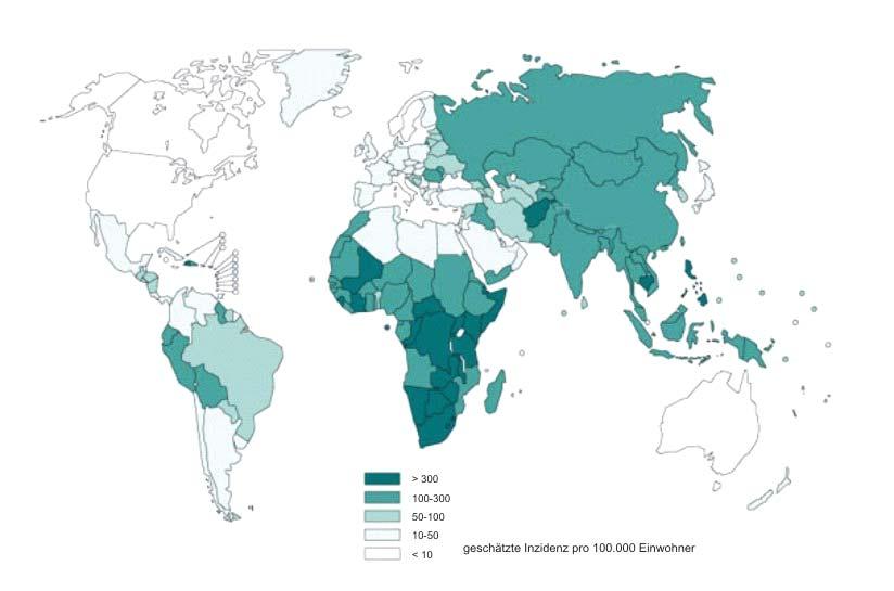 EINLEITUNG lag in Afrika bei 26% und in den USA als Industrienation sogar um 31%. Im Jahr 2000 waren weltweit 12% aller Todesfälle als Folge von TB mit einer HIV-Infektion assoziiert.