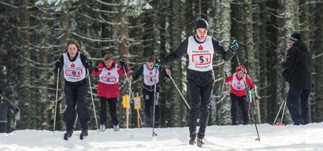 Wettkampfsport Wintersport SPORT Hoch die Ski, Foto: Heidemarie Jehle / Tourismusverband Seefeld Sommersportler im Schnee......das passiert nicht allzu oft.