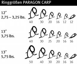 SPORTEX Paragon Unsere neue Paragon Serie ist mit einer klassischen parabolischen aktion ausgestattet.