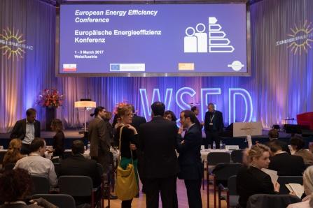 Neben der Keynote-Session waren folgende Veranstaltungen Teil der Europäischen Energieeffizienz Konferenz: Konferenz "Energieeffizienz-Dienstleistungen" Young Researchers Conference: Energy