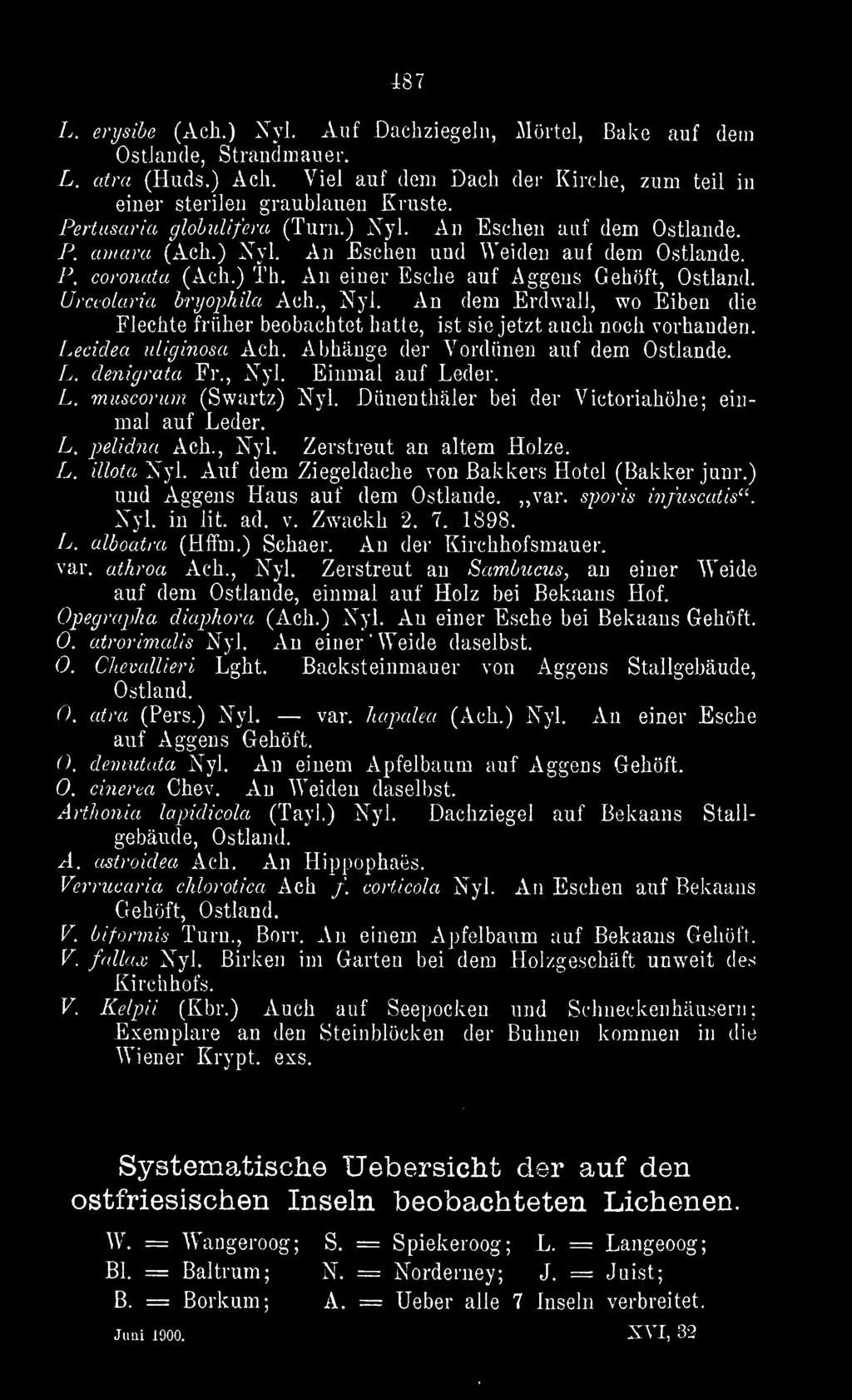 Auf dem Ziegeldache von Bakkers Hotel (Bakker junr.) und Aggens Haus auf dem Ostlaude.,,var. sporis i?ifuscutis'^. Nyl. in lit. ad. v. Zwackh 2. 7. 1898. L. alboatra (Hffm.) Schaer.