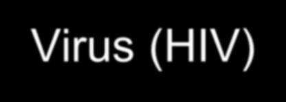 Humanes Immundefizienz-Virus (HIV) Gruppe der Lentiviridae Familie der Retroviridae RNA-Virus bislang 2 Typen bekannt: HIV-1 und HIV-2 Subtypen A bis J