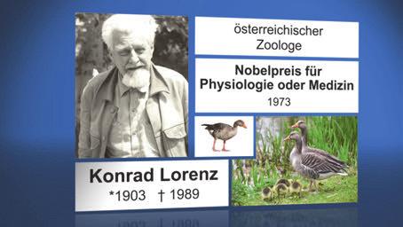 Graugänse - Nahrungssuche und Vogelzug Laufzeit: 5:10 min, 2018 Lernziele: - Konrad Lorenz als bedeutenden Verhaltensforscher kennen; - Das Prinzip Lernen durch Nachahmung nachvollziehen können; -