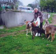 Tierschutz in Gran Canaria - Rentnerin Hildegund Willwacher hilft den Straßenkatzen spenden Sie.