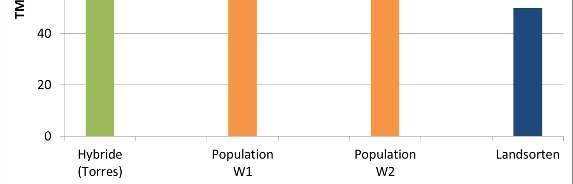 Ertragsleistung von 2 Populationssorten im Vergleich zu Landsorten und einer KWS Hybride in