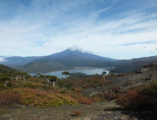 Der Vulkan Llaima ist der höchste des Parks und 2008 zum letzten