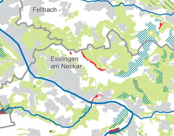 Neckars befinden sich um die Siedlungsflächen herum viele regional