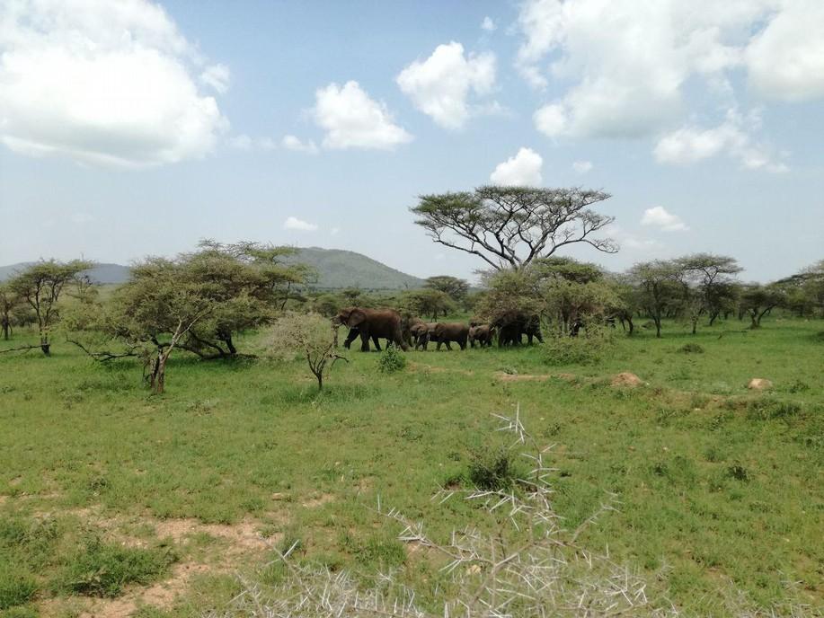 Patrick und Julia zu Besuch in Tansania Erfahrungsbericht Während unserer Reise nach Afrika hatten wir die Möglichkeit eine Woche in Arusha bei Mama Suzy zu verbringen, das Familienhaus zu sehen und