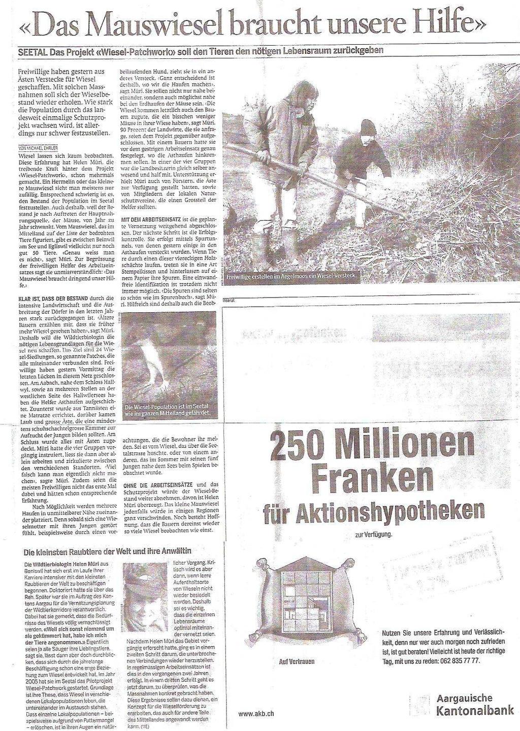 Echo in den Medien Die Medien begleiteten das Projekt durch mehrere Berichte (Aargauer Zeitung, Lenzburger Bezirksanzeiger, Wynentaler).