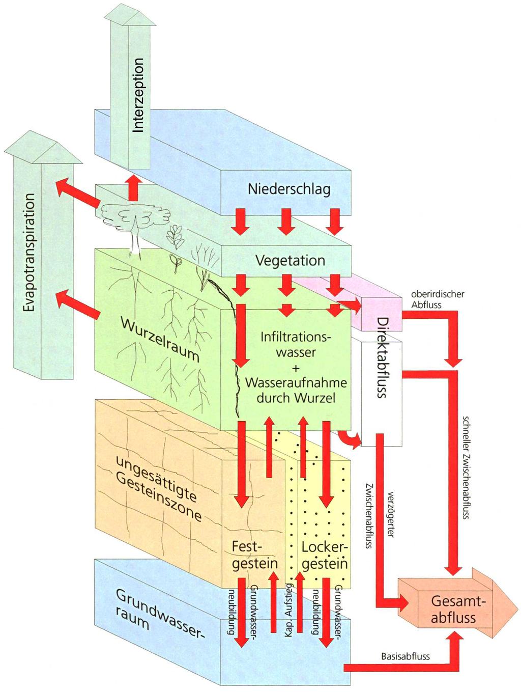 empirische Einschicht-Bodenwasserhaushaltsmodell (BWHM) nach GROSSMANN (1995, 1997, 1998, 2001) und DOMMERMUTH & TRAMPF (1991) mit einem