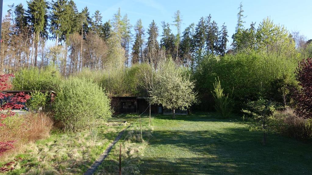 den Garten Richtung Könizbergwald im Norden