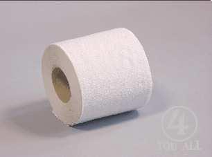 x8rollen) TPN40300 14,90 Toilettenpapier 2-lagig, weiß Tissue, 250 Blatt, Abriss 12 cm, VE=64
