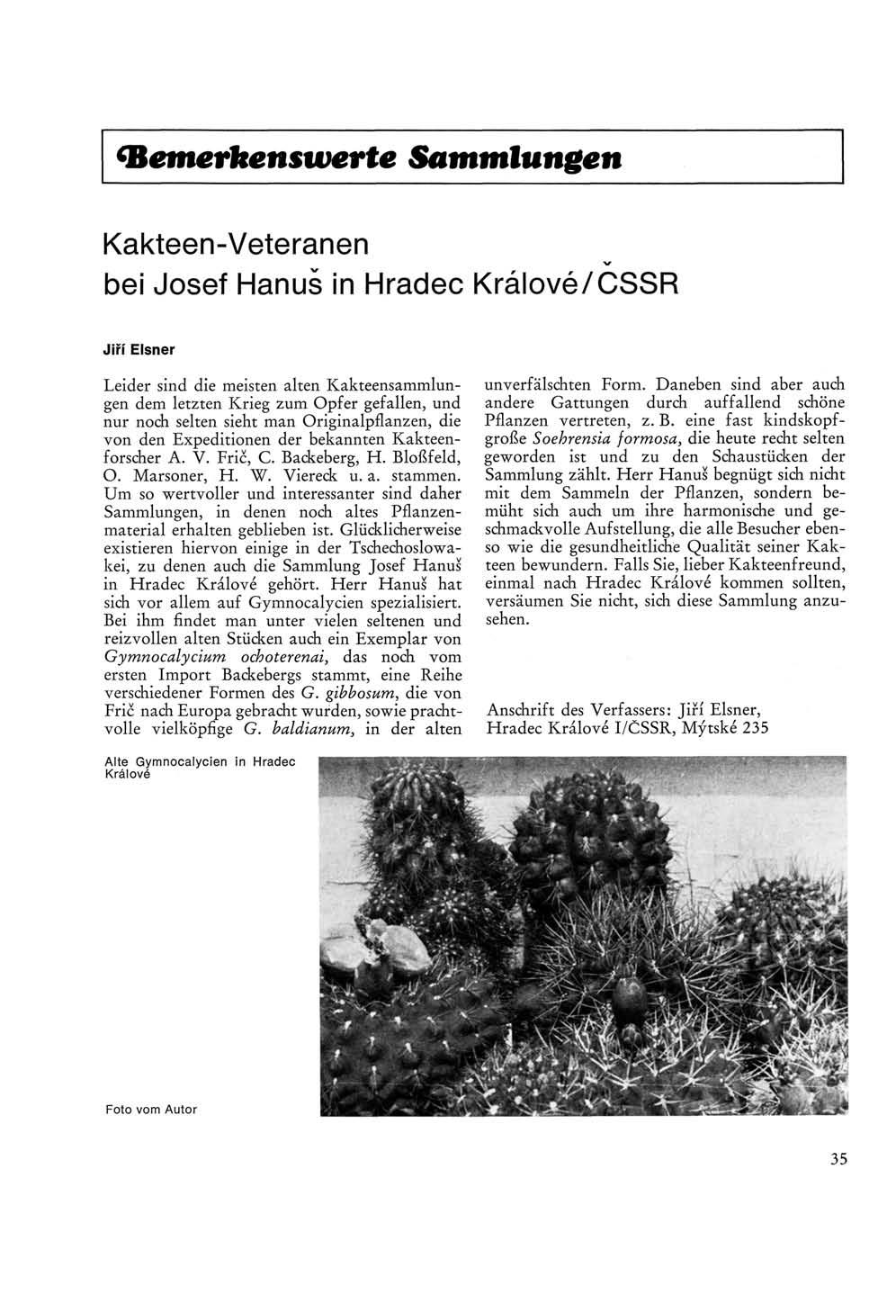 Bemerkenswerte Sammlungen Kakteen-Veteranen bei Josef Hanuš in Hradec Králové/ČSSR Jiri Eisner Leider sind die meisten alten Kakteensammlungen dem letzten Krieg zum Opfer gefallen, und nur noch