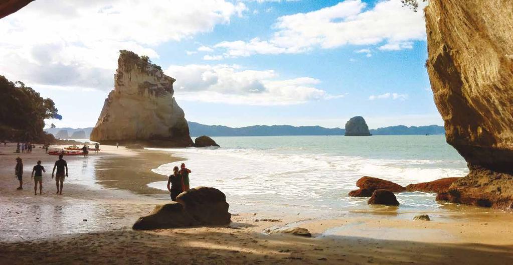 44 Spektakuläres Neuseeland 0 Tage Cathedral Cove, Coromandel-Halbinsel Auckland, Stadt der Segel Weingüter auf Waiheke Island Hot Water Beach & Cathedral Cove Longlands-Rinderfarm Maori-Kultur in