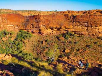 Mindestteilnehmerzahl: 8 Personen Daintree-Nationalpark das Uluru-Kata Tjuta Cultural Centre, wo Sie Einblicke in die Geschichte des Anangu-Stammes erhalten, der seit vielen Tausend Jahren in dieser