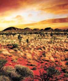:0 Uhr Leichtes Frühstück inklusive Rundwanderung um den Uluru ( km) Aboriginal-Felsmalereien Begrenzte Gruppengröße Täglich 75 Min.