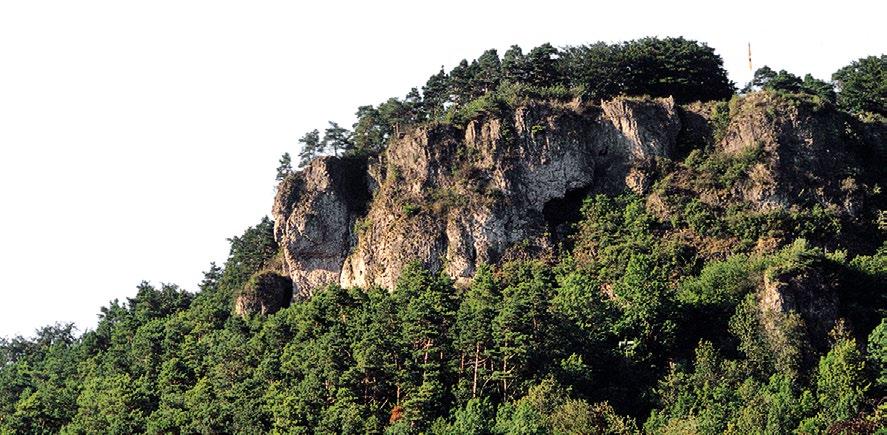 GEROLSTEIN COCHEM SEITE 43 -Tipp: Gerolsteiner Keltenpfad Wanderfreunde sind in Gerolstein genau richtig. Besonders empfehlenswert ist der Keltenpfad.