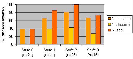 terschied zwischen Borkigkeitssufe 0 gegenüber 2 und 3. Vergleich der Standorte Der Bestand Klink als ältester Bestand weist eine relative Gleichverteilung von N. coccinea auf, N.