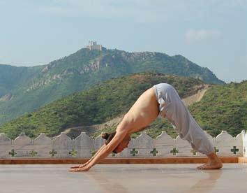 Ashtanga-Namaskara (Gruß mit acht Punkten) Ausatmung halten: Knie, Brustbein und Kinn zum Boden. Gesäß in der Luft. Spüren Sie zum Nabel hin. Spirituelles Bewusstsein: Manipura-Chakra 7.